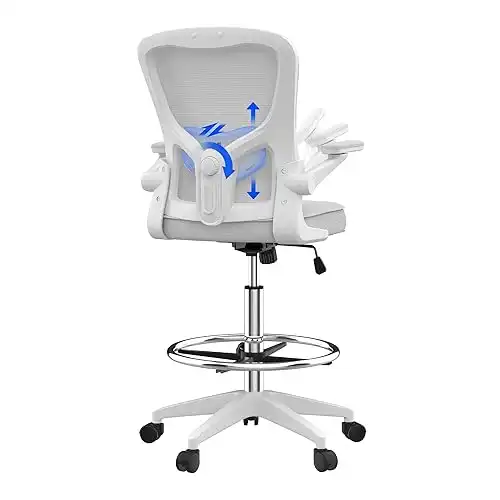 Flexispot TC1 Big and Tall Mesh Office Drafting Chair