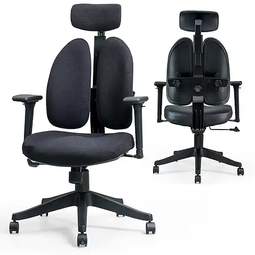 Flexispot Ergonomic Office Chair Dual Back Support OC5