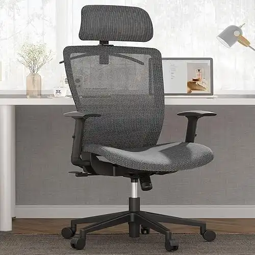 Flexispot Mesh Ergonomic Home Office Chair Lumbar Support Grey