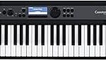 Casio Casiotone 61-Key Portable Keyboard with Key Lighting System