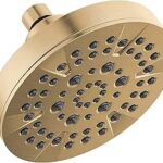 Delta Faucet 5-Spray Gold Shower Head Brushed Gold