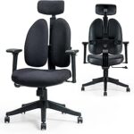 Flexispot Ergonomic Office Chair Dual Back Support OC5