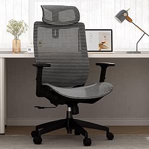 Flexispot OC6 Heavy Duty Ergonomic Office Chair