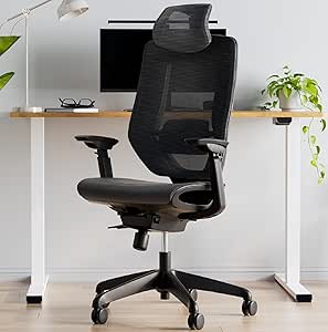 Flexispot OC6 Mesh Ergonomic Office Chair Black