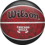 Wilson NBA Team Tiedye Basketball Size 7-29.5"