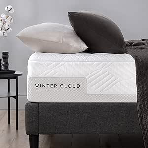 Zinus 12 Inch Winter Cloud Memory Foam Mattress Queen