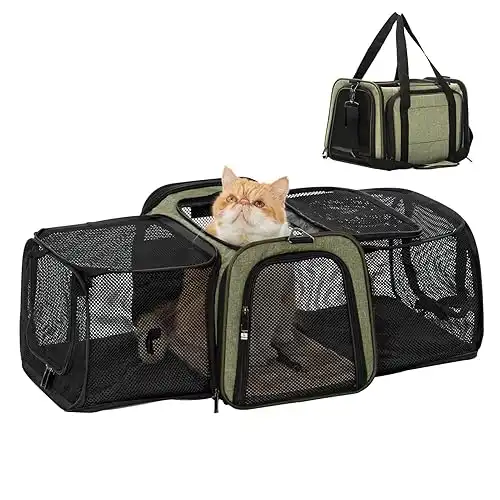 Petsfit Pet Carrier Airline Approved Expandable Small Dog Carrier