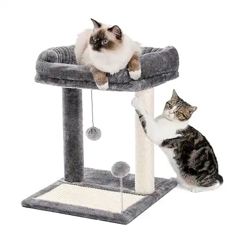 Pawz Road Cat Scratching Post Bed Sisal Scratch Posts Pads Play Ball